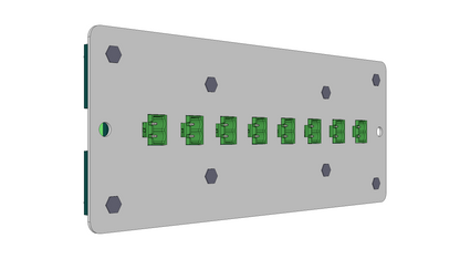 AnyPort | RTS20 | 8-Port 2-Position Termination Panel